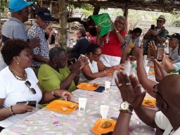 CheminPavé-Guyanais